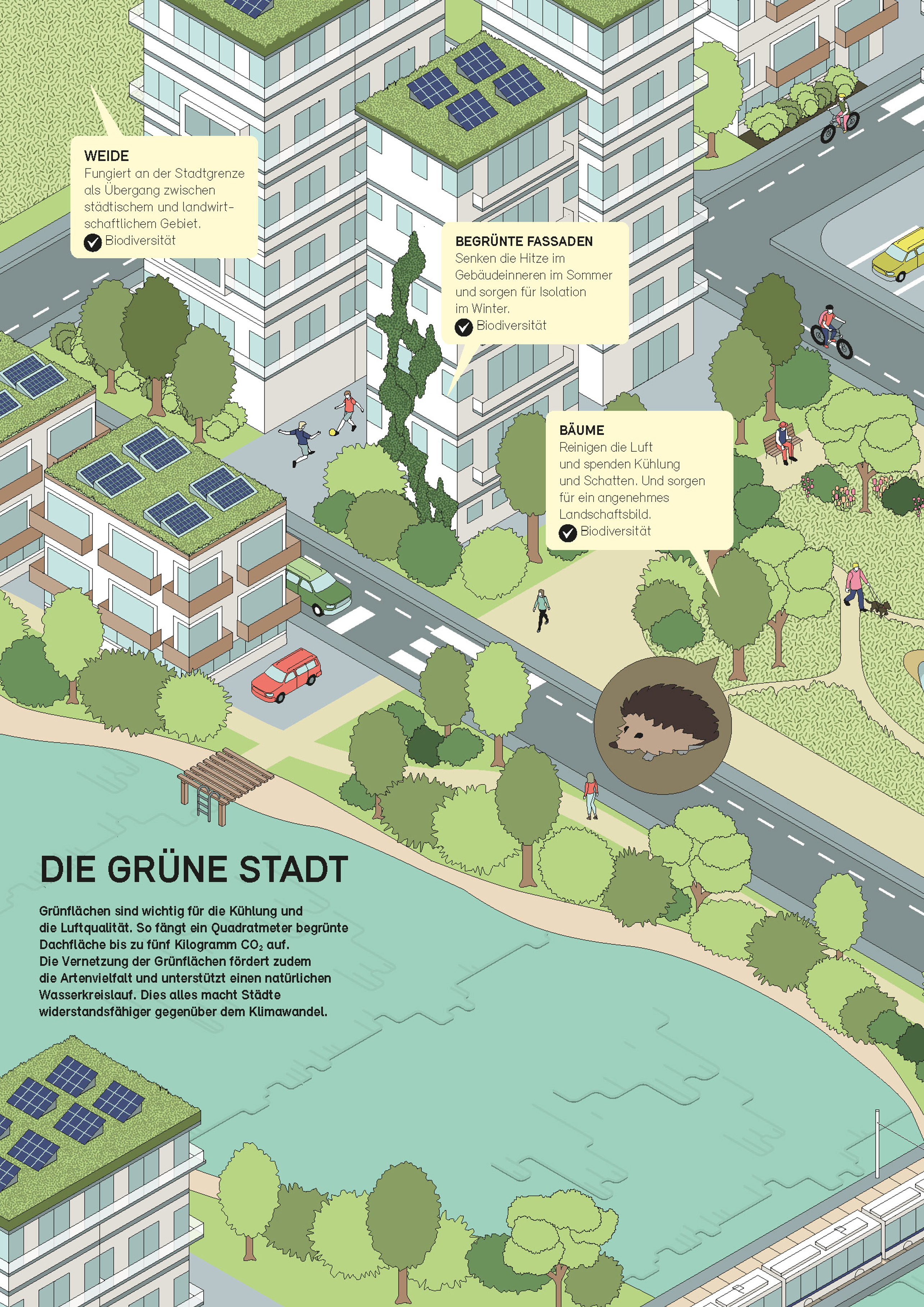 Die Umwelt 2 2024 Grafik Graue Gruene Stadt Seite 1