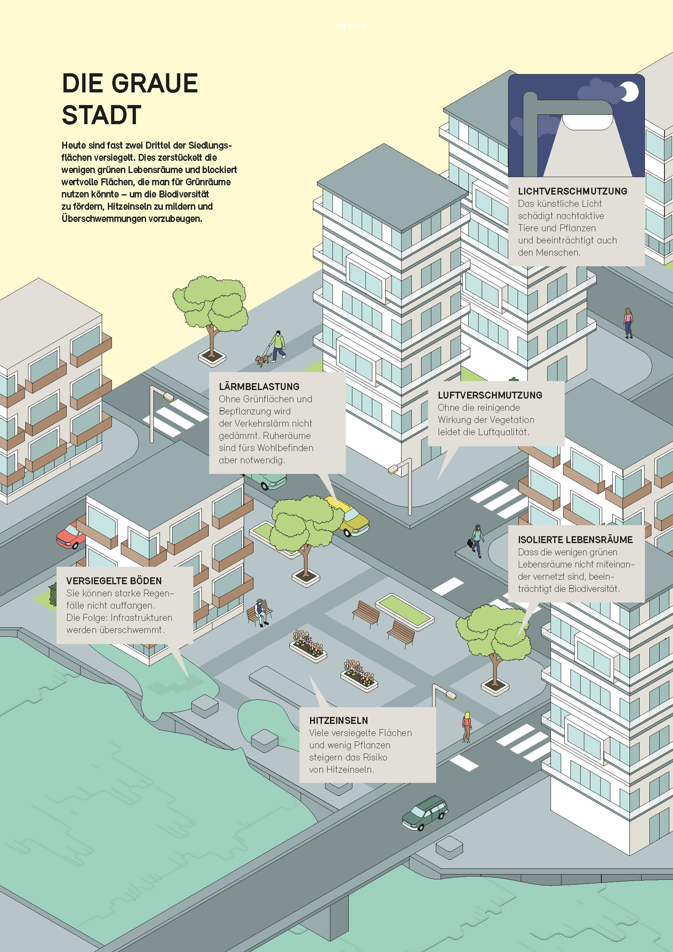 Die Umwelt 2 2024 Grafik Graue Stadt