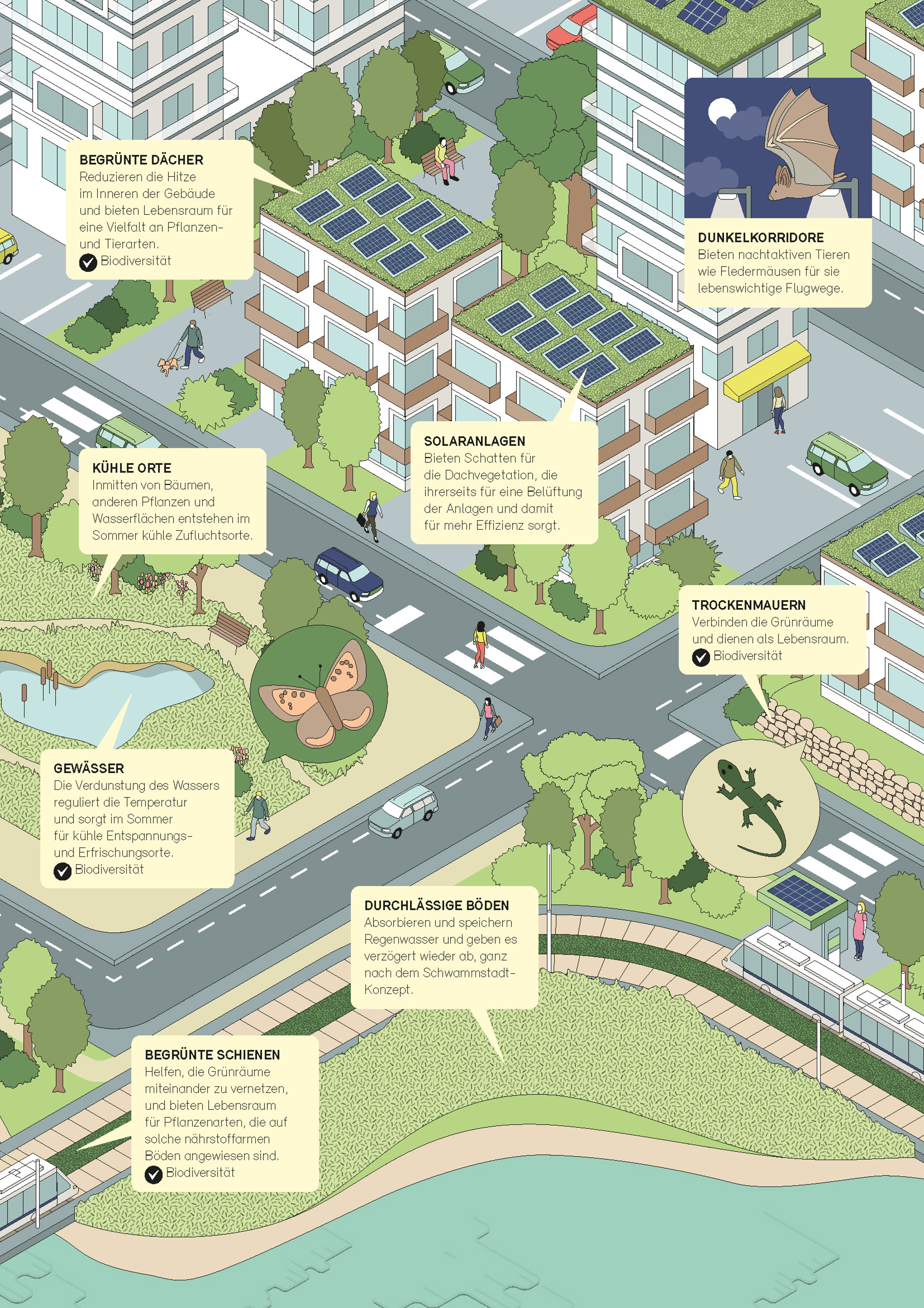 Die Umwelt 2 2024 Grafik Graue Gruene Stadt Seite 2